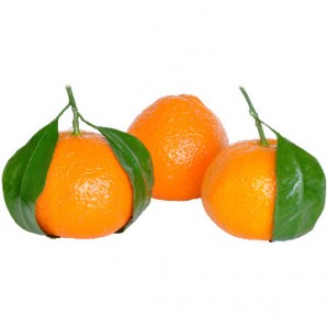 15 kg de mandarinas de Valencia