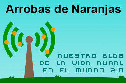 Naranjas de zumo baratas